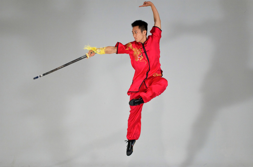 what is wushu martial arts